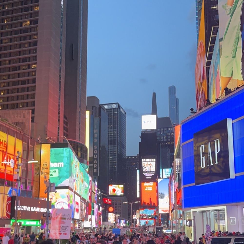 Meet your Posher, Aneesa